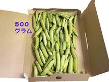 えんどう豆　実えんどう　うすいえんどう　エンドウ豆　500グラム 生産農家直送!　送料無料_画像3
