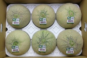 【限定1箱】茨城県旭村産 アンデスメロン 6玉入り 約4.5kg 1 円スタート!!