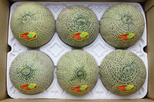 [ limitation 1 box ] Kumamoto prefecture production k in si- melon red meat L size 6 sphere go in total approximately 4.5kg 1 jpy start!