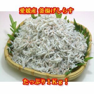 訳あり！愛媛産　釜揚げしらす　１ｋｇ袋入り！