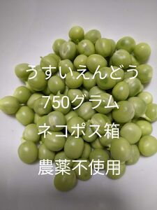 1.岡山県産 うすいえんどう 750グラム ネコポス箱 農薬不使用