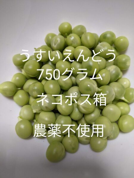 1.岡山県産 うすいえんどう 750グラム ネコポス箱 農薬不使用