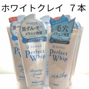 専科 パーフェクトホイップ ホワイトクレイ 洗顔フォーム 120g×7個 毛穴 角栓 角質 黒ずみ つるつる うるおい 炭 泥 