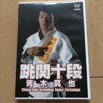 【送料込】跳関10段 dvd 柔術 ufc 格闘技 レスリング 修斗 ボクシング 宇野薫 堀口恭二 朝倉未来 朝倉海 青木真也 リバーサル reversal_画像1