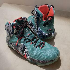 NIKE Lebron12 xmas Akron Birch 26cm 限定