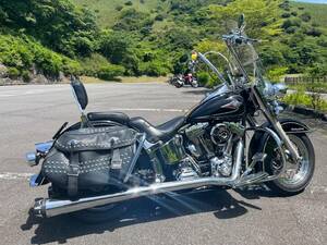  Harley Harley Davidson износ Tey jiTC96 техосмотр "shaken" 8 год 3 месяц!