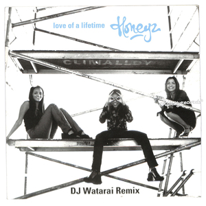 【レコード/洋①】HONEYZ /LOVE OF A LIFETIME DJ WATARAI REMIX