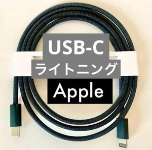 黒 Apple ケーブル ライトニング USB-C トラックパッド iPhone スペースグレイ