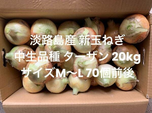 兵庫県 淡路島産 玉ねぎ M～L無選別 20kg 中生品種 ターザン 70個前後 淡路 淡路島