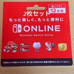 Nintendo Switch Online ニンテンドースイッチオンライン 個人プラン 12ヶ月 2枚セット 