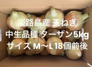  Hyogo префектура Awaji Island производство шар лук порей M~L нет выбор другой 5kg средний сырой товар вид Tarzan 18 шт передний и задний (до и после) .. Awaji Island 