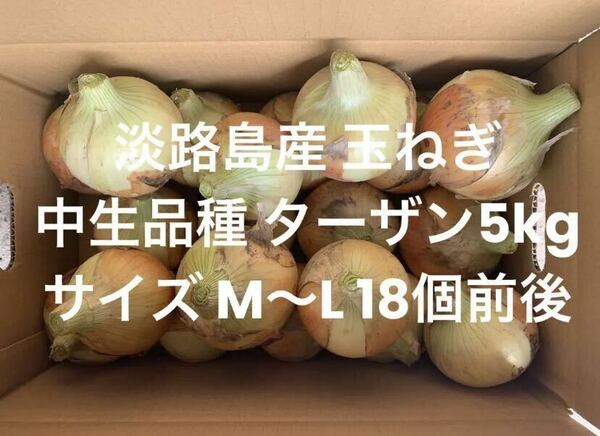 兵庫県 淡路島産 玉ねぎ M～L 無選別 5kg 中生品種 ターザン 18個前後 淡路 淡路島