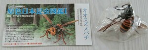 オオスズメバチ 原色日本昆虫図鑑 Ⅰ ユージン Yujin 未組立 未開封 解説書付き