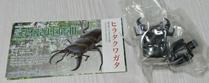 ヒラタクワガタ 原色日本昆虫図鑑Ⅲ ユージン Yujin 未組立 未開封 解説書付き