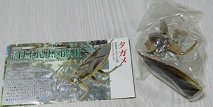 タガメ 原色日本昆虫図鑑Ⅲ ユージン Yujin 未組立 未開封 解説書付き