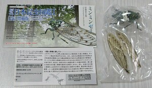 miminzemi. color Japan insect illustrated reference book Ⅰ modified . increase . version Eugene Yujin not yet constructed unopened explanation document 