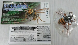 o male zme chopsticks . color Japan insect illustrated reference book Ⅰ modified . increase . version Eugene Yujin not yet constructed unopened explanation document 