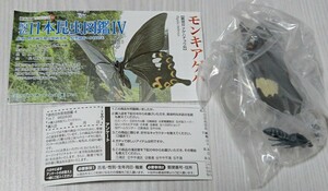 mon Kia ge - . цвет Япония насекомое иллюстрированная книга Ⅳ Eugene Yujin не собран нераспечатанный описание документы 