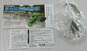 ヤマトタマムシ 原色日本昆虫図鑑 Ⅰ ユージン Yujin 未組立 未開封 解説書付き