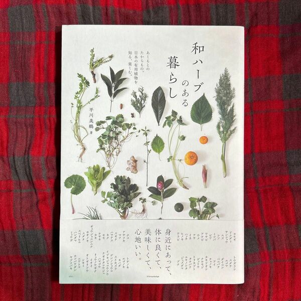 和ハーブのある暮らし　あしもとのたからもの。日本の有用植物を知る、楽しむ。 平川美鶴／著