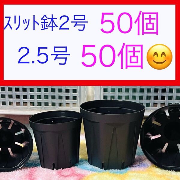 B②① スリット鉢お得セット★ブラック【2号50個】【2.5号50個】