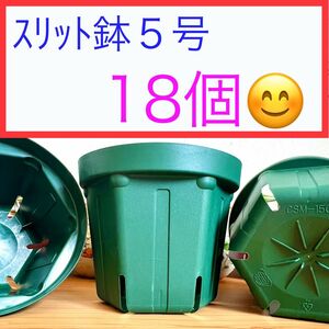 D①⑦ カネヤｽﾘｯﾄ鉢【5号】18個ｾｯﾄ★ﾓｽｸﾞﾘｰﾝ