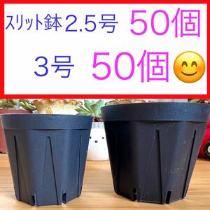 B③⑥ ｽﾘｯﾄ鉢お得セット★【2.5号50個】【3号50個】