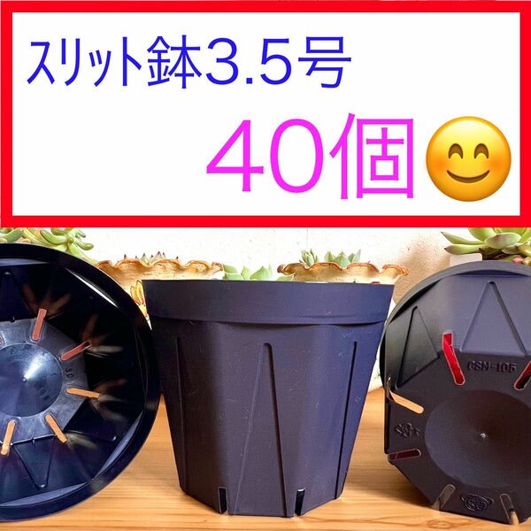 B④② カネヤｽﾘｯﾄ鉢【3.5号】40個ｾｯﾄ★ﾌﾞﾗｯｸ