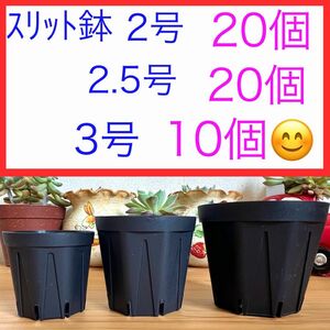 B④④ ｽﾘｯﾄ鉢お得セット★【2号20個】【2.5号20個】【3号10個】