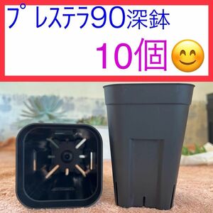 H① 【プレステラ90 深鉢】ﾌﾞﾗｯｸ 10個セット★