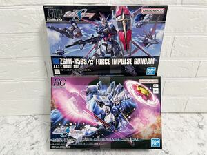 新品 未開封 HG 1/144 ギャンシュトローム（アグネス・ギーベンラート専用機）HGCE フォースインパルスガンダム SEED FREEDOM hguc mg