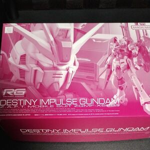 未開封新品 RG 1/144 デスティニーインパルスガンダム