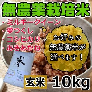 令和5年産【選べる無農薬米】無農薬栽培米 [玄米] 10kg