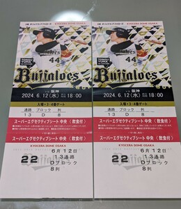 プロ野球チケット　京セラドーム大阪　6/12（水）交流戦オリックスバファローズ vs 阪神タイガースネット裏特別指定席2枚（2席分）飲食付き