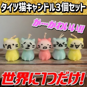 タイツ猫キャンドル3個セット　猫　ソイキャンドル　ハンドメイド　ガチャポン　