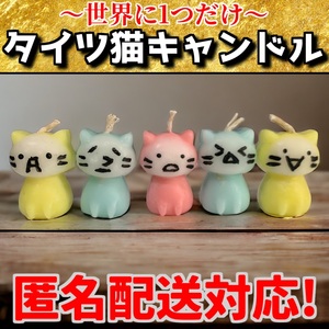 送料無料/タイツ猫キャンドル3個セット　猫　ソイキャンドル　ハンドメイド　ガチャポン　