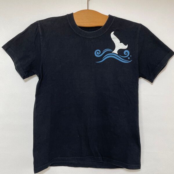ハブボックス/Tシャツ/綿100%/SS