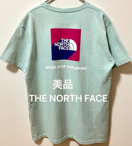 美品　THE NORTH FACE ノースフェイス ビッグブランドロゴヘビーウェイトTシャツ バックプリント