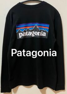 Patagonia　パタゴニア ブランドロゴTシャツ　バックプリントロングTシャツ　ロングスリーブ　メキシコ製