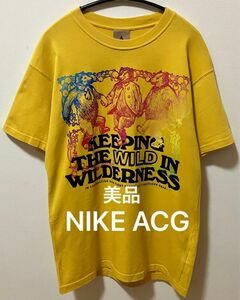 美品　NIKE ACG ナイキエーシージー ヘビーウェイト　グラフィックTシャツ