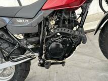 キレイなノーマル TW125 !! しかもリミッター無し仕様で低走行 !! 高額整備済(キャブOH/シート張替後未使用) 即乗りOK （検 tw kdx df xr_画像8