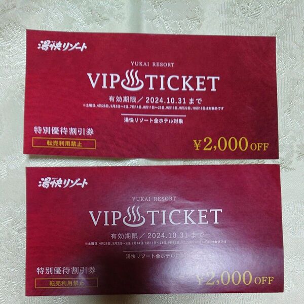 湯快リゾート VIPチケット (2枚)