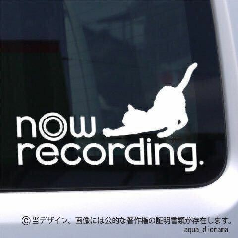 NOW RECORDING/録画中ステッカー:ユーロ猫デザインWH karinモーター/ドラレコ/ペット