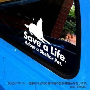 [ facility. animal. life ....] dog sticker /WH karin motor pet 