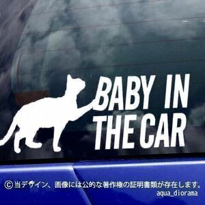 ベビーインカー/BABY IN CAR:猫デザイン横/WH karinペット