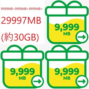 mineoパケットギフト30GB(29997MB)