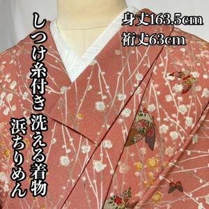 ●きもの翠● しつけ糸付き 洗える着物 浜ちりめん 手描き 小紋 梅の木に蝶々 かわいい 和装 和服 着物 ポリエステル 身丈163.5cm #X603