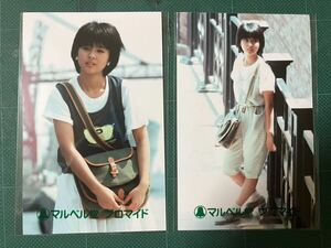 【未開封】薬師丸ひろ子　マルベル堂プロマイド写真2枚　白Tシャツ 昭和タレント　80年代アイドル
