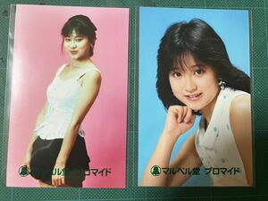 【未開封】 松本典子　マルベル堂プロマイド写真　ノースリーブ　膨らみ　80年代アイドル