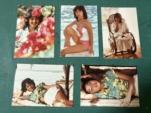 【5枚セット】 北原佐和子　写真(当時物) 80年代アイドル 